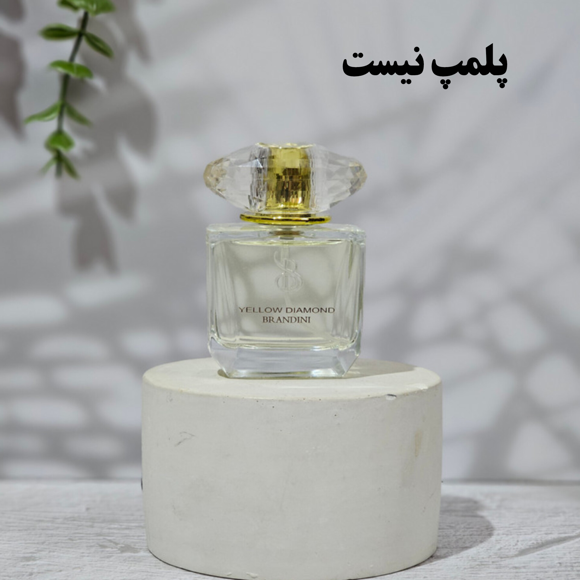 ورساچه یلو دیاموند (ورساچه زرد) 33 میل برندینی